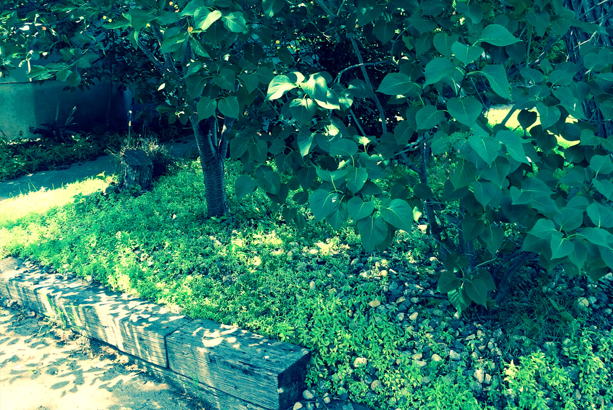 Gallery Cutting Edge Lawn & Property Services LLC