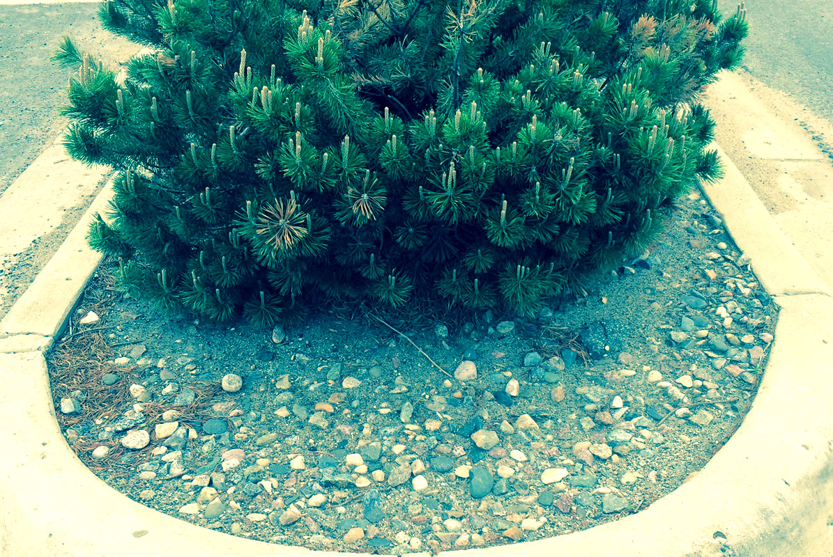 Gallery Cutting Edge Lawn & Property Services LLC