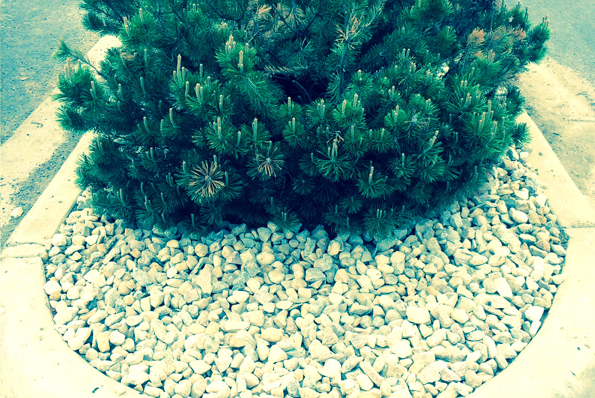 Gallery Cutting Edge Lawn & Property Services LLC