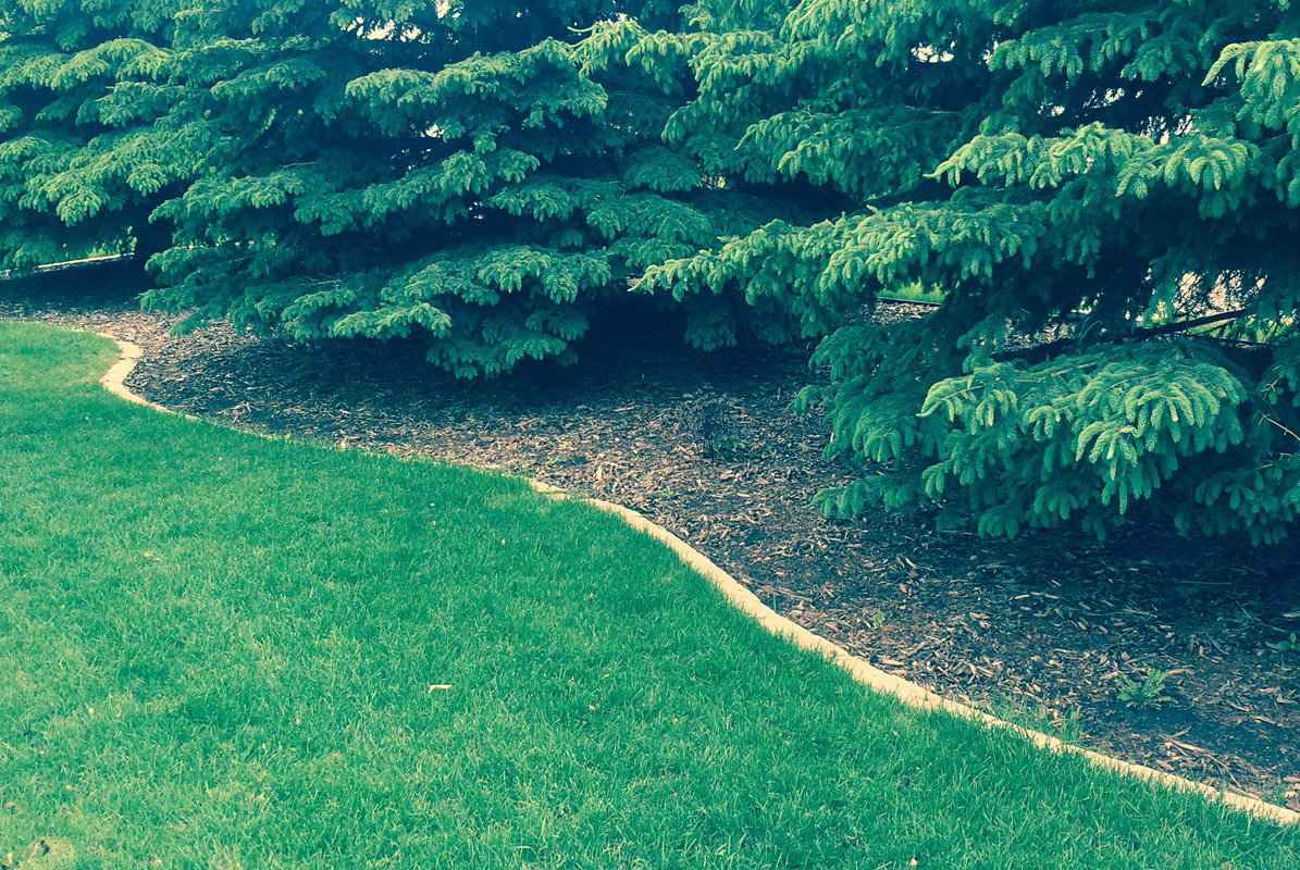 Gallery Cutting Edge Lawn & Property Services LLC