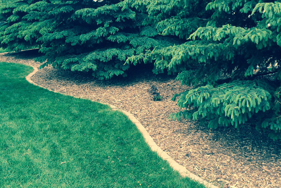 Gallery Cutting Edge Lawn & Property Services LLC